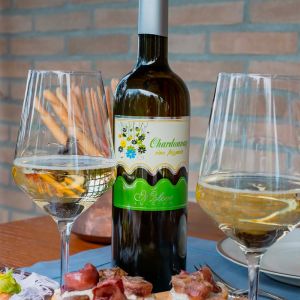 Chardonnay Veneto Frizzante Igt – Molon