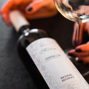 Riesling Renano Veneto Igt – Molon