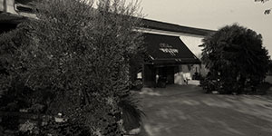 Compri dal produttore